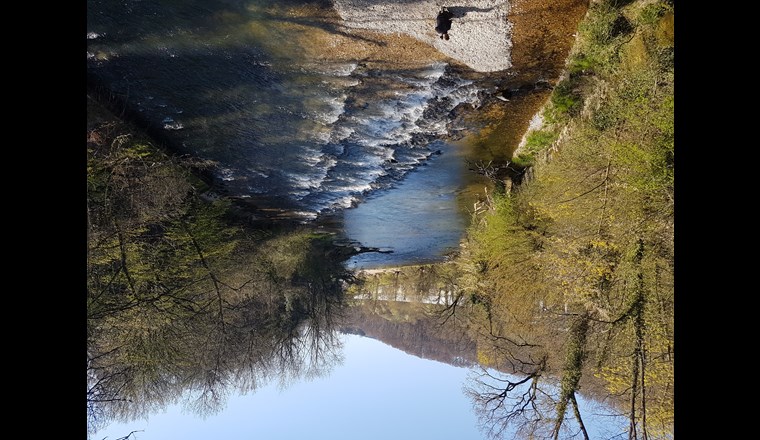 An der Birs bei Münchenstein im Kanton Basel-Landschaft herrschte schon Anfang April ein ziemlicher Tiefstand des Wassers. (Foto: SVGW/Peter C. Müller)