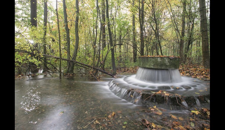 Eine Versickerungsstelle in den Langen Erlen. Laut Umfrageergebnisse empfindet eine grosse Mehrheit ein naturnahes System ästhetisch deutlich ansprechender als ein rein technisches Pendant. (Bild: © IWB/C. Flierl)
