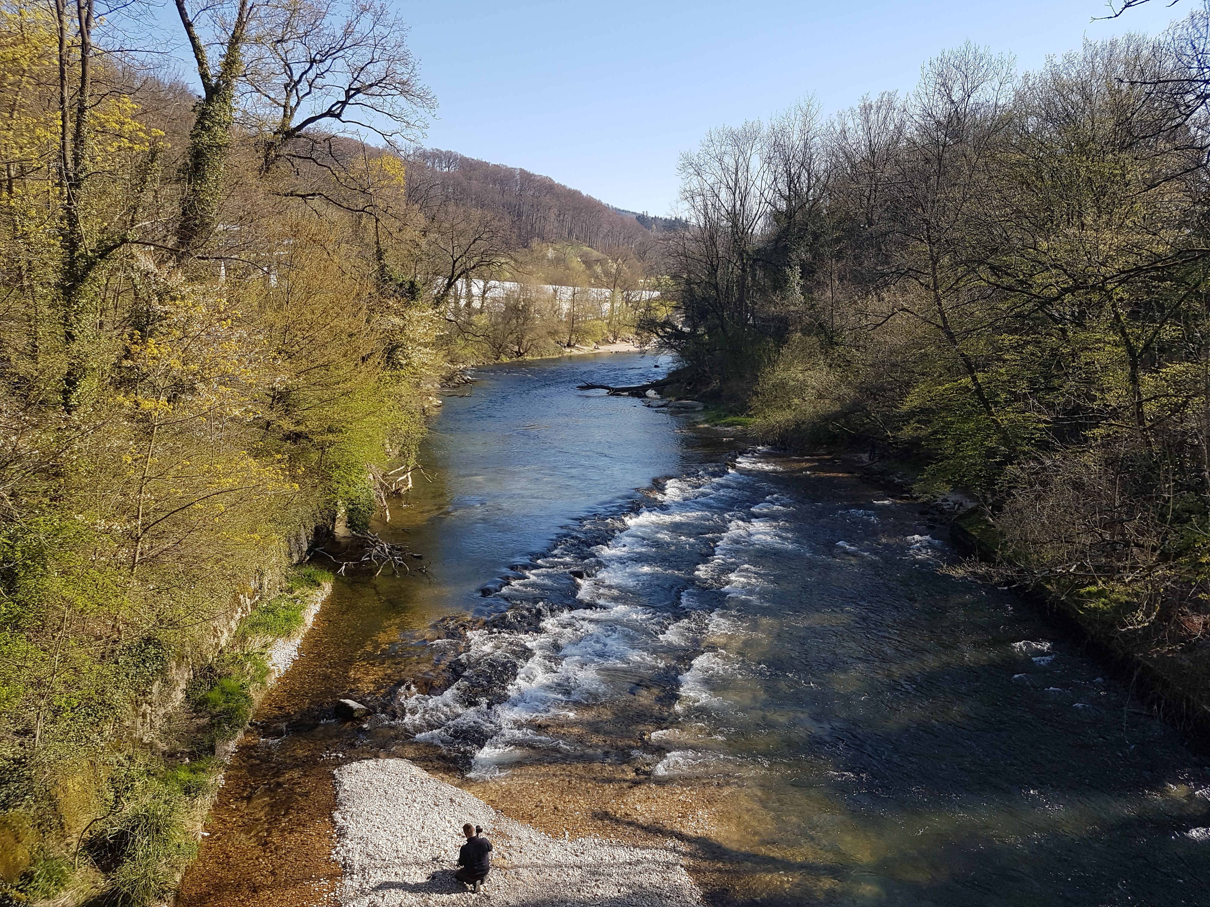 Ein Grossteil des in Flüssen und Bächen produzierten Kohlendioxids wird tagsüber durch Photosynthese absorbiert, wodurch die Menge, die in die Atmosphäre gelangt, reduziert wird. Foto: P. Müller/SVGW