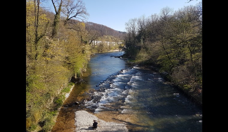 Ein Grossteil des in Flüssen und Bächen produzierten Kohlendioxids wird tagsüber durch Photosynthese absorbiert, wodurch die Menge, die in die Atmosphäre gelangt, reduziert wird. Foto: P. Müller/SVGW