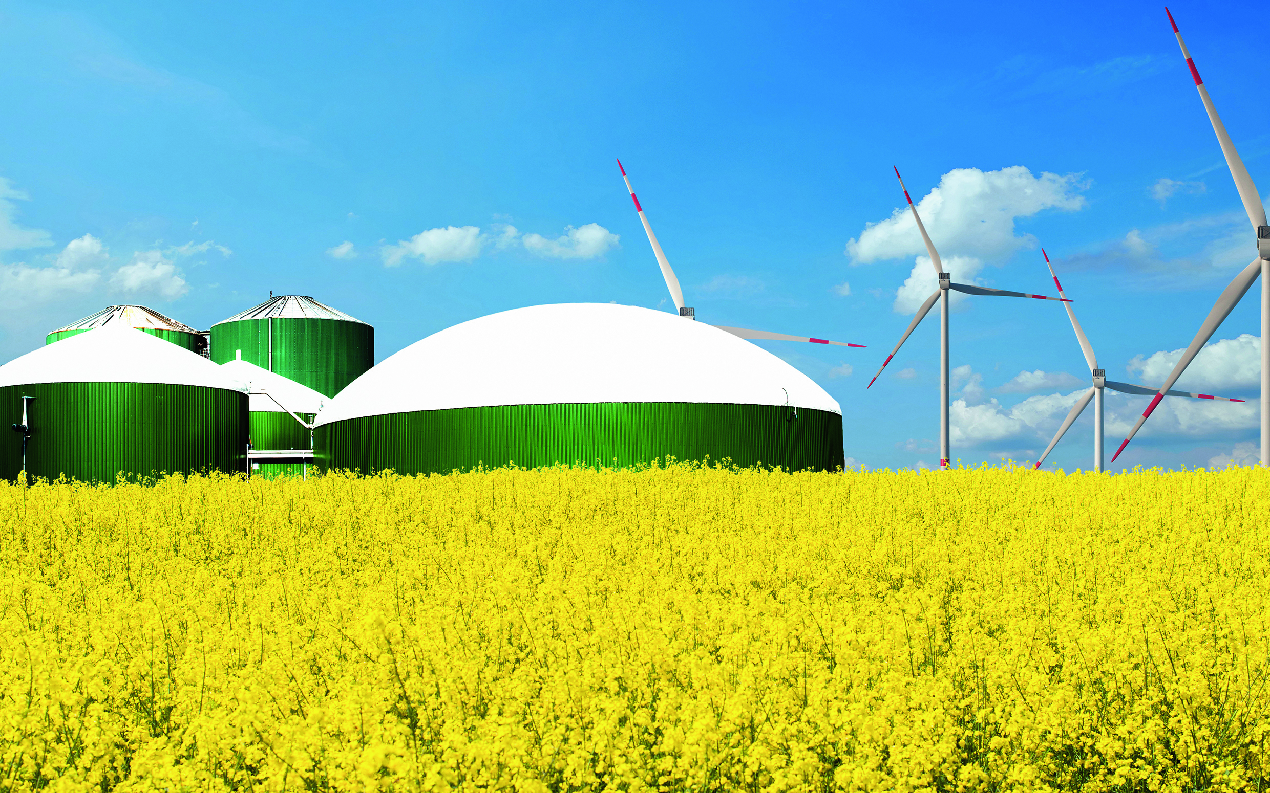 In den letzten zehn Jahren ist die Biogasproduktion in der Schweiz  kontinuierlich angestiegen und hat 2019 die Menge von 408 GWh überschritten, zudem stiegen die Biogasimporte auf über 600 GWh. (©V. Schlichting/123RF.com)