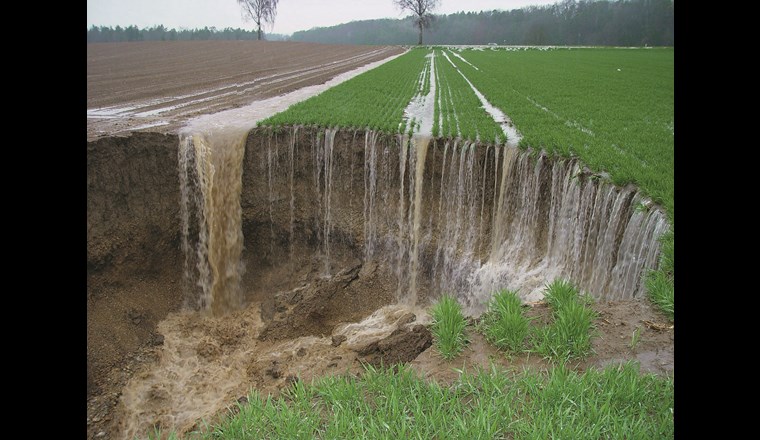 Erosion nach Starkregen bei Marthalen ZH. Nicht immer ist die Verbindung zwischen Acker und Grundwasser so deutlich. Trotzdem stand die Belastung der Wasserressourcen mit Pflanzenschutzmitteln 2019 weit oben auf der politischen Traktandenliste. 
(Foto: Roland Müller, Benken)