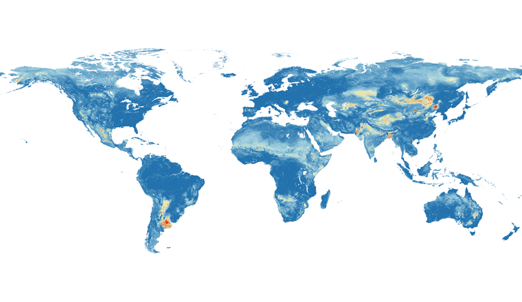 Globale Gefährdungskarte von Arsenverschmutzungen im Grundwasser: Rot bedeutet eine hohe Wahrscheinlichkeit, dunkelblau eine geringe Wahrscheinlichkeit, dass sich mehr als 10 Mikrogramm pro Liter Arsen im Grundwasser befinden. (Grafik: Podgorski et al., 2020)