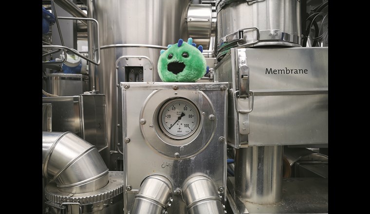 «Archie», das Maskottchen