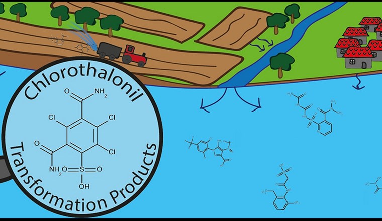 Chlorothalonil steht im Verdacht, krebserregend zu sein, weshalb das BLV den Wirkstoff im Dezember 2019 neu beurteilt hat.  (Grafik: Eawag)