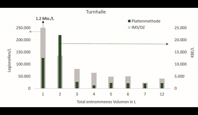 Die mit IMS/DZ und der Plattenmethode nachgewiesene Konzentration lebender Legionellen im Warmwasser der Turnhalle in Abhängigkeit der entnommenen Menge Warmwasser.