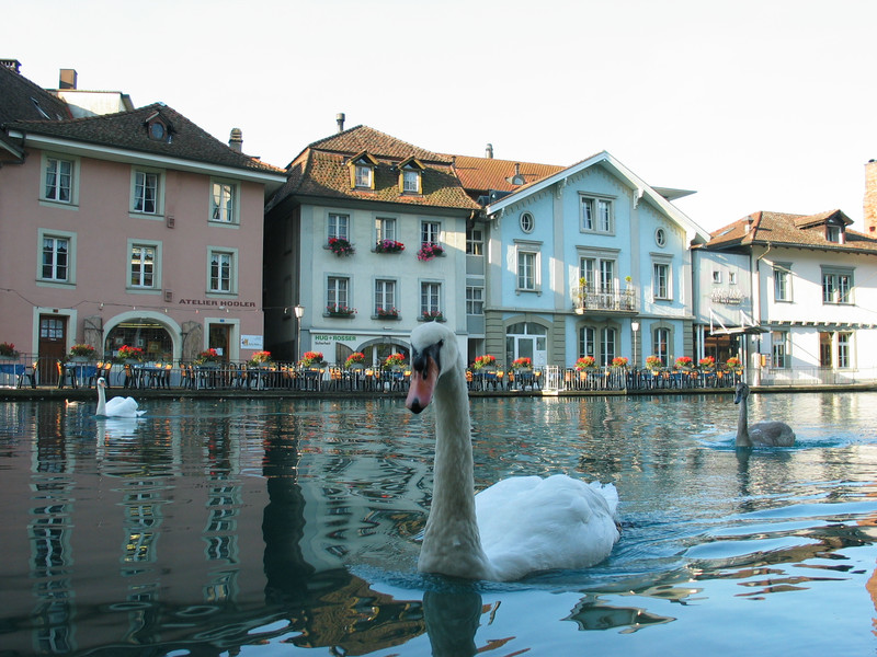 In der Nähe von Thun soll ein neues Abwasserrückhaltebecken entstehen. (Foto: Thun Tourismus)
