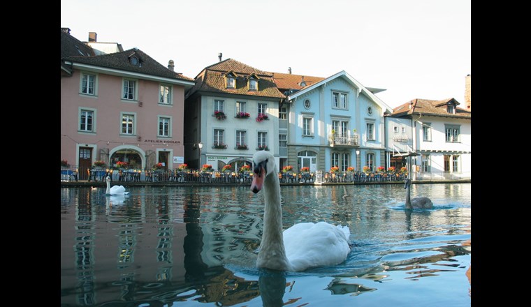 In der Nähe von Thun soll ein neues Abwasserrückhaltebecken entstehen. (Foto: Thun Tourismus)