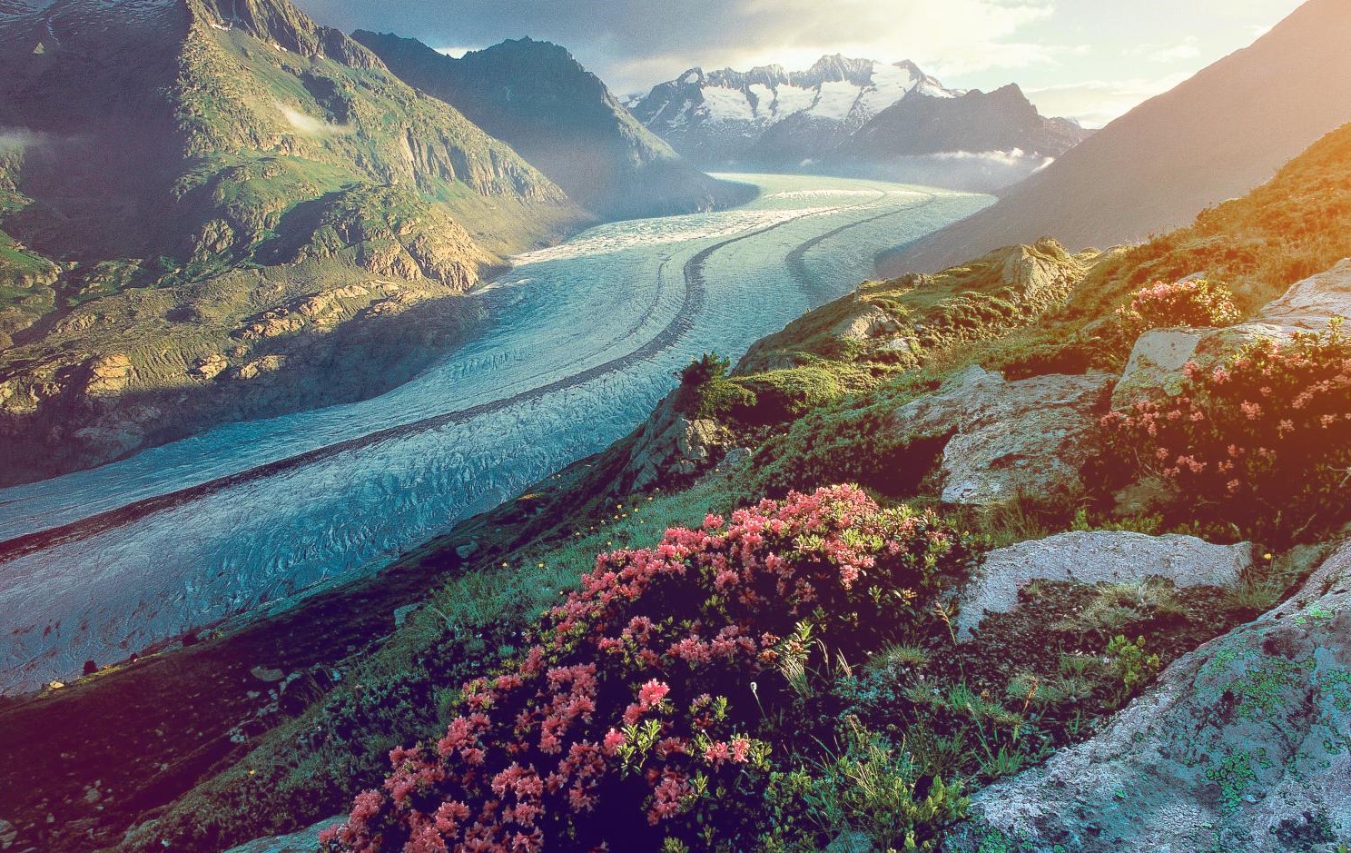 Die Oberfläche des Grossen Aletschgletschers im Wallis, dem grössten Gletscher der Alpen, schmolz in den unteren Lagen um mehr als 5 Meter pro Jahr. (Foto: Wallis Tourismus)
