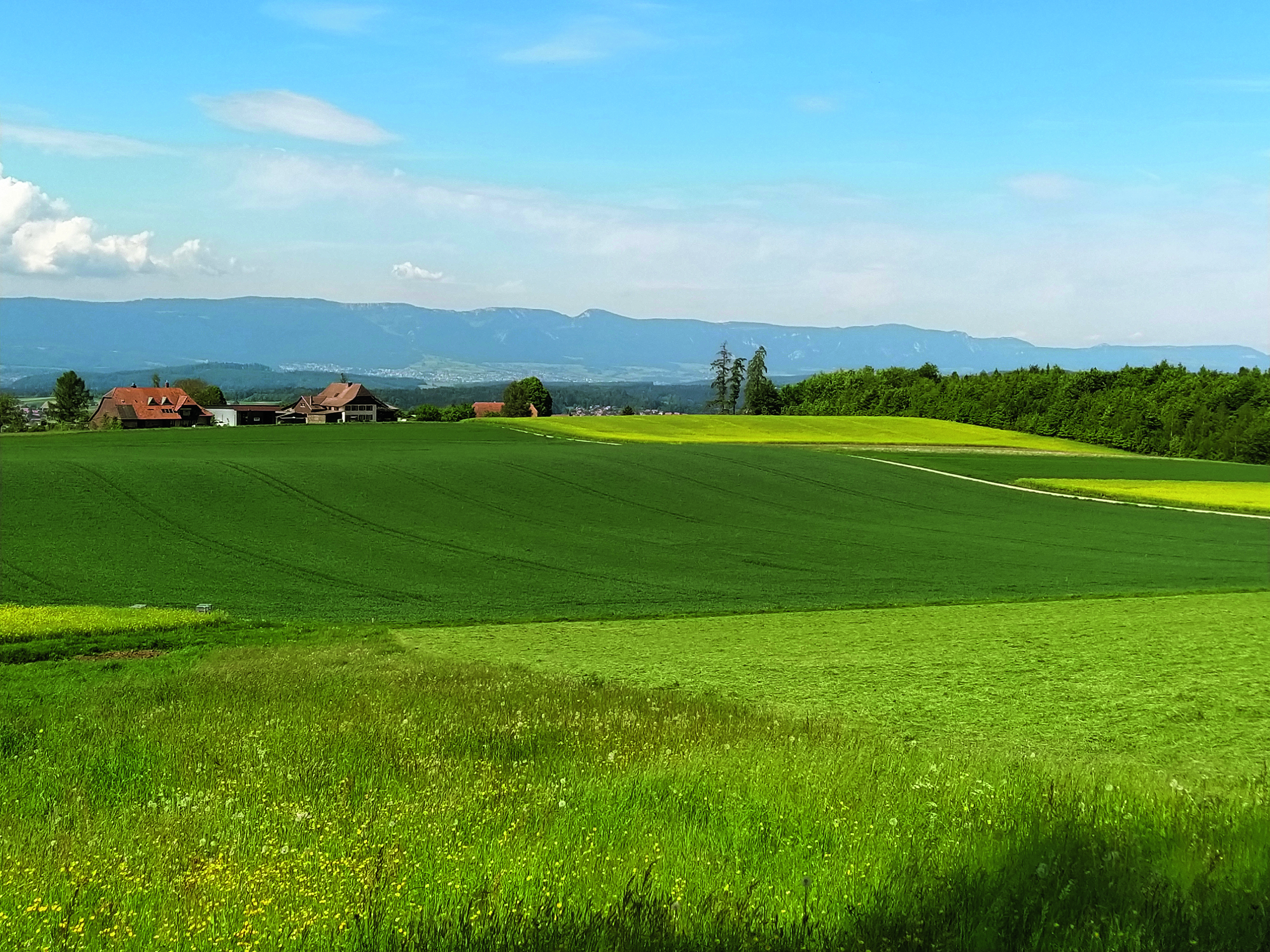 Um die gute Trinkwasserqualität langfristig zu sichern, ist ein besserer Schutz des Zuströmbereichs angezeigt.