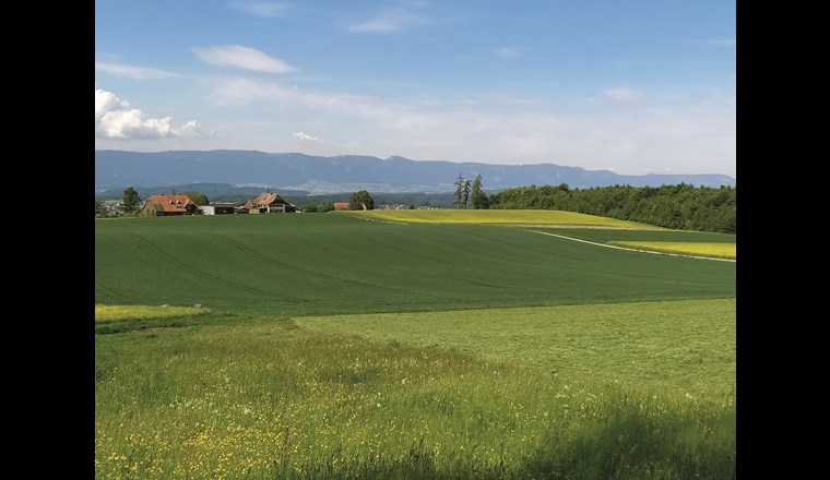 Um die gute Trinkwasserqualität langfristig zu sichern, ist ein besserer Schutz des Zuströmbereichs angezeigt.