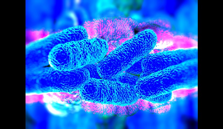 Die Hygiene in Trinkwasserinstallationen wird zunehmend wichtiger. (Foto: Royalty Stock/123rf.com)