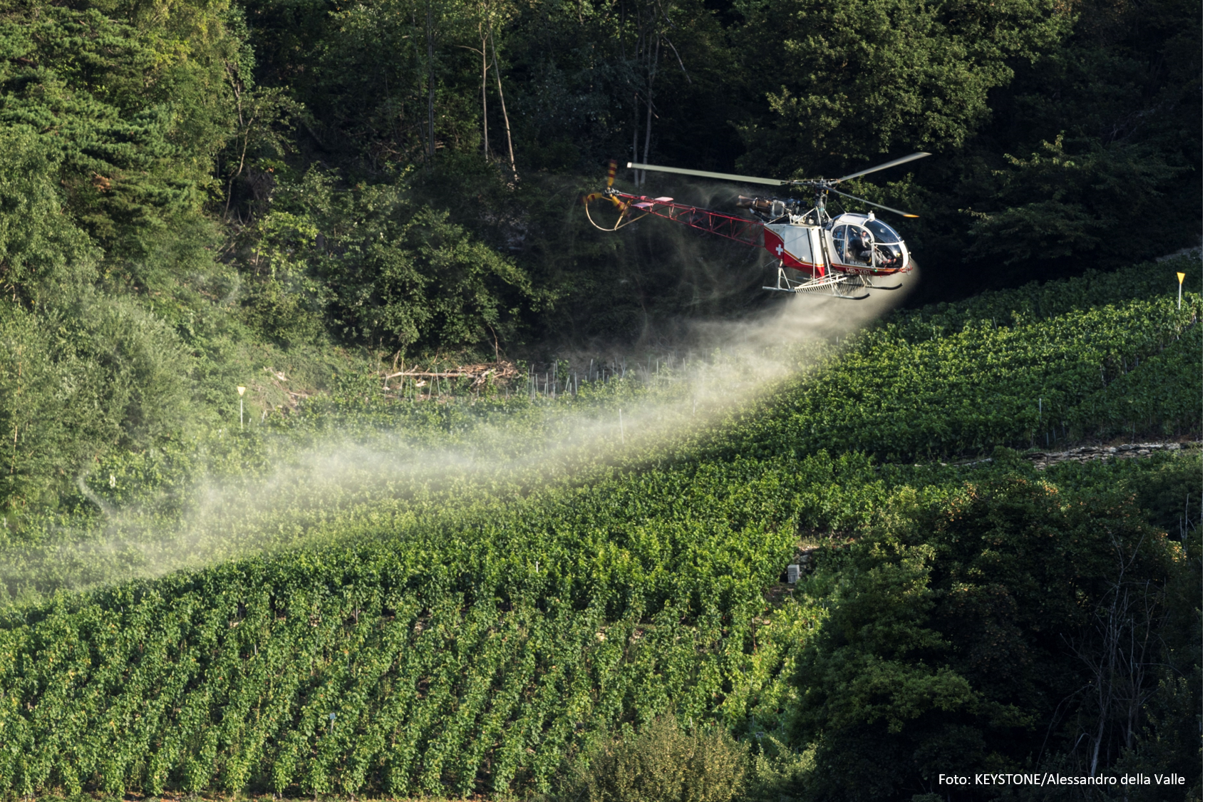 Foto: KEYSTONE/Alessandro della Valle