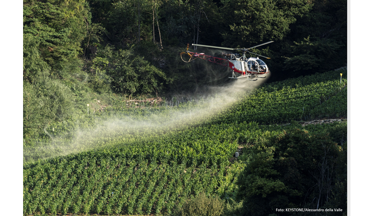 Foto: KEYSTONE/Alessandro della Valle