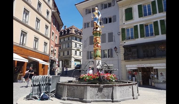 Die Stadt Lausanne möchte die Durchführbarkeit der Eliminierung von Chlorothalonil und seiner Metaboliten aus ihren Anlagen untersuchen. (Foto: SVGW)