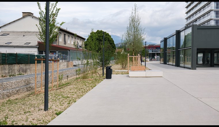 Fig. 2 Gestion des eaux pluviales intégrée aux espaces publics de la gare de Chêne-Bourg (GE). 
(© Etat de Genève, Théo Gardiol)