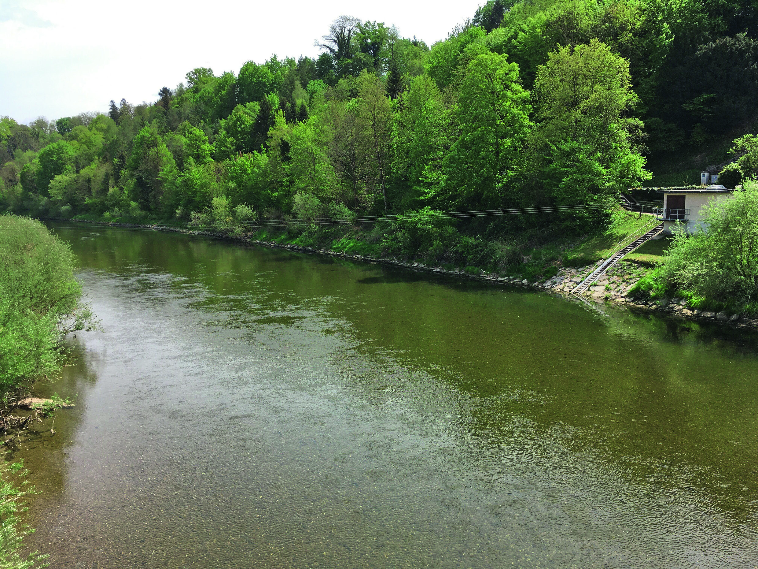 Ausbau der Nationalen Beobachtung Oberflächengewässerqualität NAWA TREND und erste Resultate 2018. (© Jörg Hammer, BAFU)
