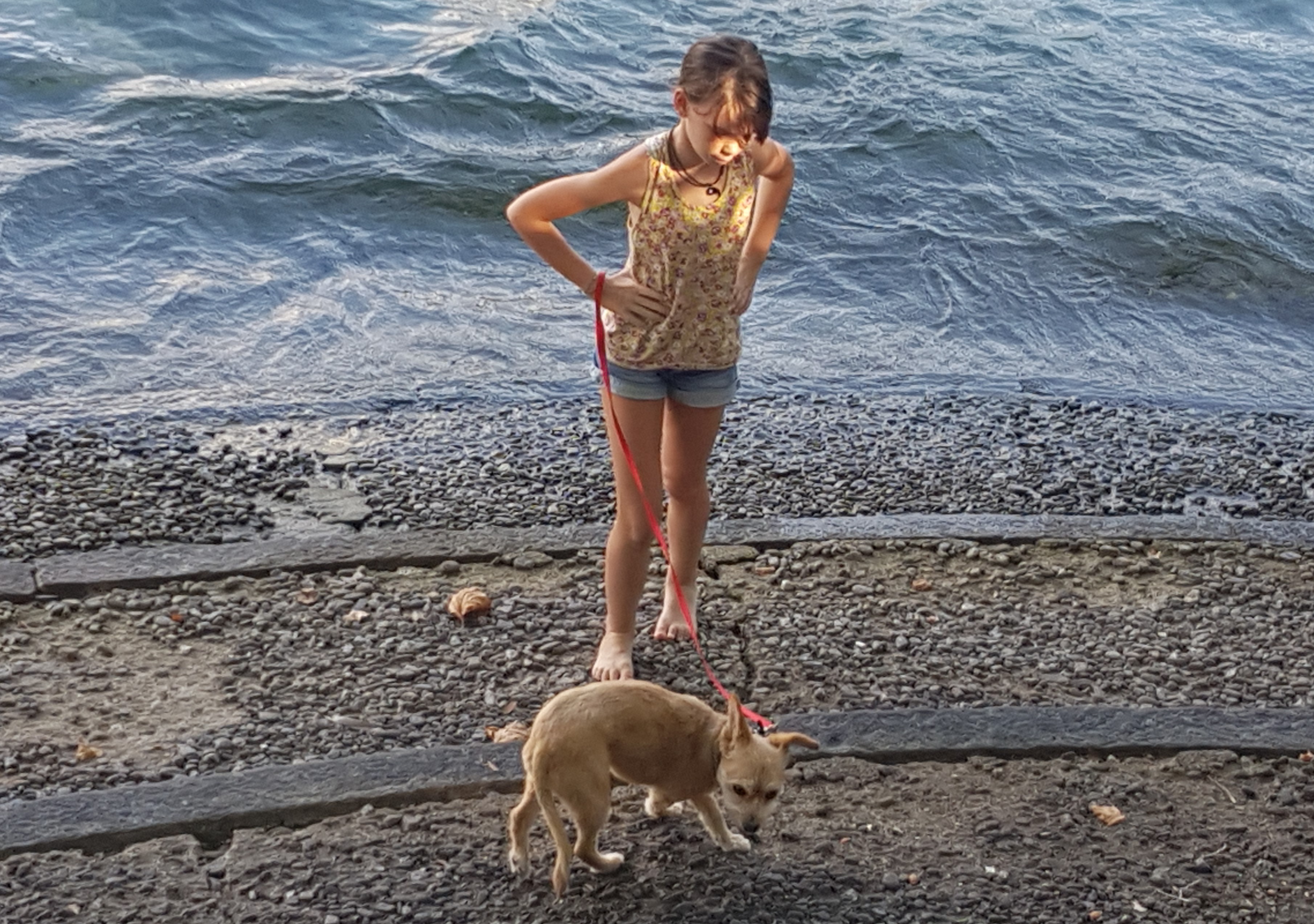 Tierhalter sollten mit ihren Hunden derzeit nicht an den Neuenburgersee gehen. (Symbolbild: SVGW)