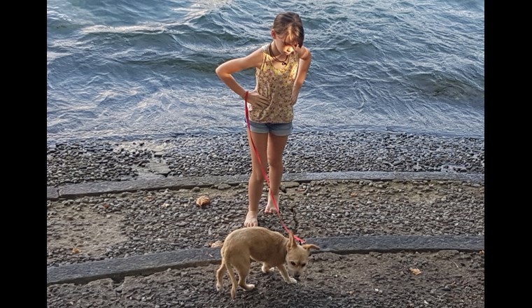 Tierhalter sollten mit ihren Hunden derzeit nicht an den Neuenburgersee gehen. (Symbolbild: SVGW)