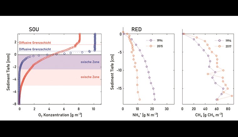 Beispiele für die O2-Zehrung an der Sedimentoberfläche. SOU: Konzentrationsprofile des gelösten Sauerstoffs in der obersten Sedimentschicht (bis 8 mm) im Genfersee. Blau = Profil aus 45 m Tiefe (März 2014); rot = Profil aus 133 m Tiefe (Juli 2015) [7]. Die diffusive Grenzschicht, durch die der gelöste Sauerstoff ins Sediment diffundiert, wird mit zunehmender Tiefe oft grösser, da dort die bodennahen Strömungen abnehmen (rotes Profil). RED: Porenwasserprofile von NH4+- und CH4-Konzentrationen aus den obersten 20 cm Sediment des Baldeggersees (violett: 1994, orange: 2015 resp. 2017).