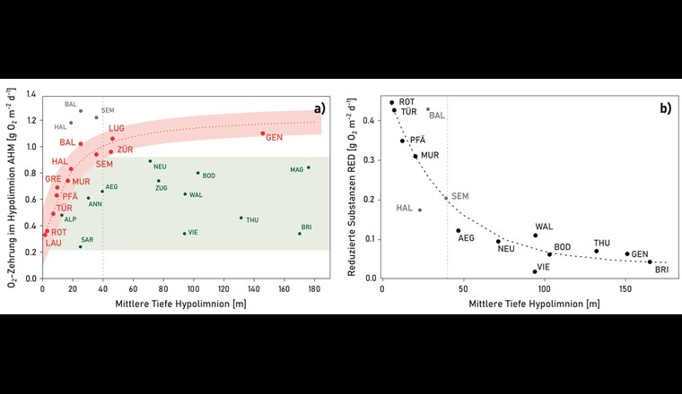 Rate der gesamten hypolimnischen O2-Zehrung AHM (a) und der O2-Zehrung durch reduzierte Substanzen RED (b) im Verhältnis zur mittleren Hypolimniontiefe in verschiedenen Seen (Daten aus [9] und [10], AHM neu berechnet). Baldegger- (BAL), Sempacher- (SEM) und Hallwilersee (HAL) sind künstlich belüftete Seen (grau). Die gepunkteten grauen Linien weisen auf die Unterteilung in tiefe (zH > 40 m) und untiefe (zH < 40 m) Seen hin.
a) AHM von eutrophen (rot) sowie meso- und oligotrophen Seen (grün) mit Modell-Fit für eutrophe Seen (rote gestrichelte Linie), neu berechnet nach [10]. b) RED von eutrophen und oligotrophen Seen.