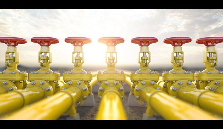 (M. Yemelyanov/123RF.com)