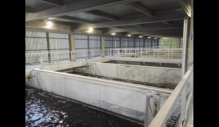 ARA Altenrhein, Kombiverfahren Ozon/GAK (Bild: Aline Brander, VSA)