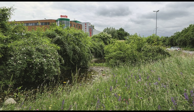 Wasser in der Stadt: Eine Änderung der gängigen Praxis ist notwendig.