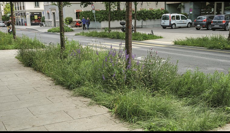 Fig. 6 Rue de St-Jean 6 in der Stadt Genf. (© Kanton Genf, Théo Gardiol)