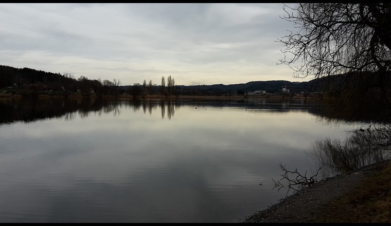 Der Moossee liegt im Norden der Stadt Bern. Er befindet sich in einem Naturschutzgebiet, das von stark landwirtschaftlich genutzten Flächen umgeben ist. Der Eintrag von Pflanzenschutzmitteln ist deshalb hoch. 
(© Universität Bern)