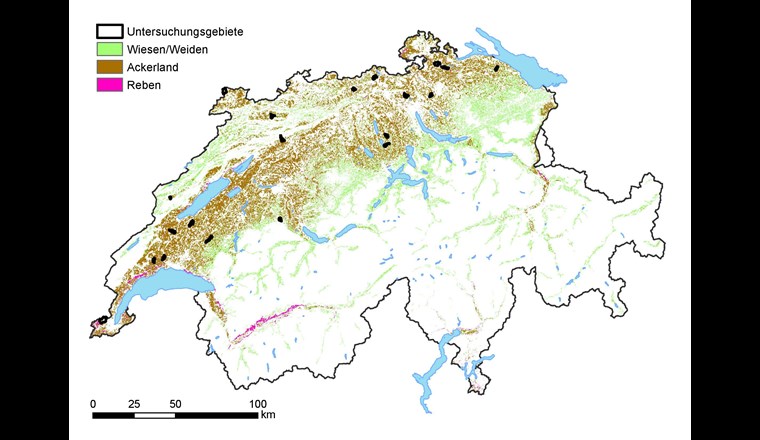 Fig. 1 Verteilung der Feldstandorte (schwarz) im Mittelland und Jura und die Landnutzung (Ackerland, Reben, Wiesen/Weiden) gemäss Areal­statistik [9]. (Hintergrundkarte: reproduziert mit Bewilligung von swisstopo/JA100119)