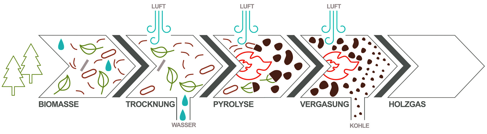 Stufen des Holzvergasungsprozesses mit Vergaserkohle als Nebenprodukt.