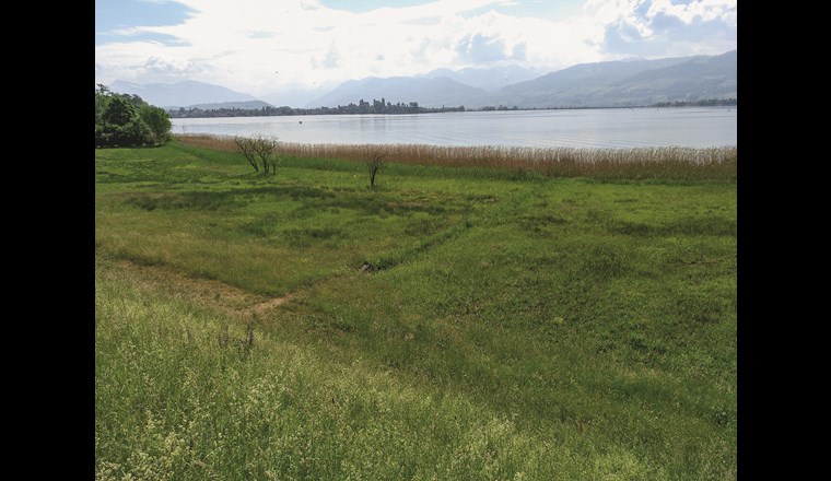 Dezentrale Lösung eines zentralen Problems:  Strassenabwasserbehandlung mit Filtersack. Im Bild: Strassenabwassereinleitung in den Zürichsee.