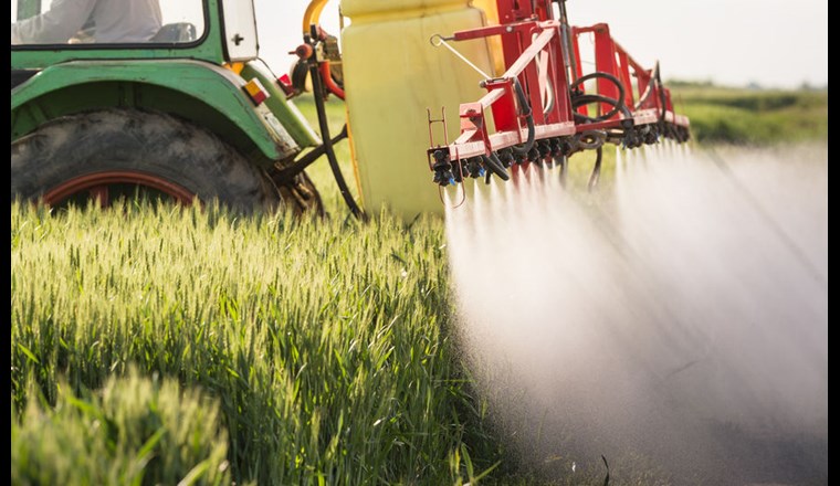 Berner Landwirte halten sich an das neue Chlorothalonil-Verbot. Jedenfalls wurden in keiner von 41 Proben Rückstände dieses Pflanzenschutzmittels gefunden. (© K. Dusan/123RF.com)