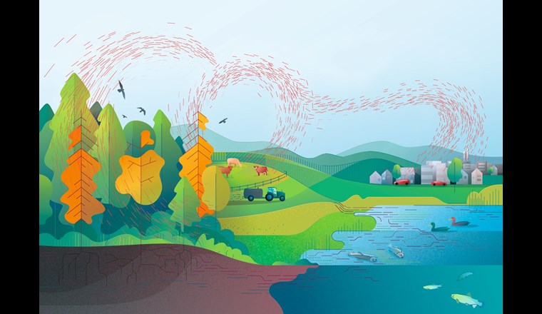Titelbild vom Faktenblatt: Übermässige Stickstoff- und Phosphoreinträge in die Umwelt. (Bild: Monika Rohner)