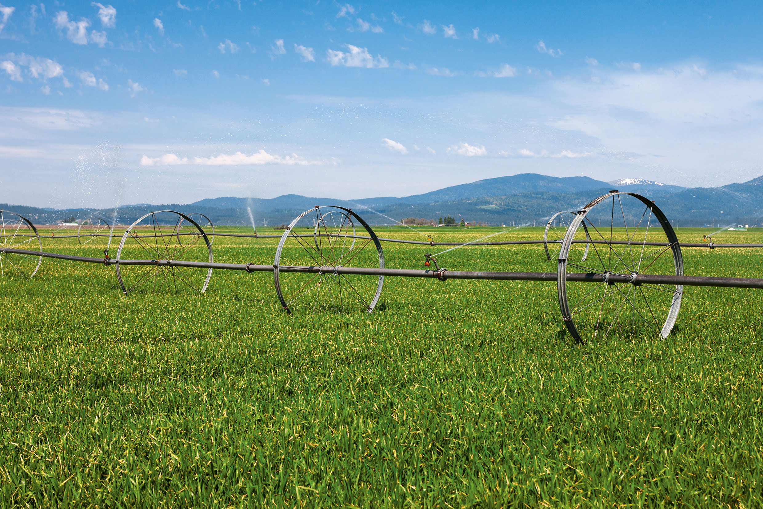 Anpassung der Landwirtschaft an die Trockenheit: herausfordernd, aber machbar. Synthese aus einem Pilotprojekt fürs Mittelland. (©G. Johnston/123RF.com)