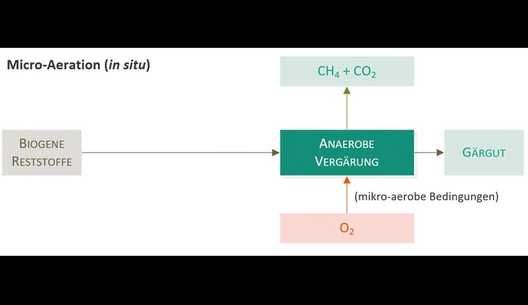 Verfahrensvariante der mikroaeroben Hydrolyse (Micro-Aeration): In-situ-Variante als einstufiger Prozess direkt im Fermenter.