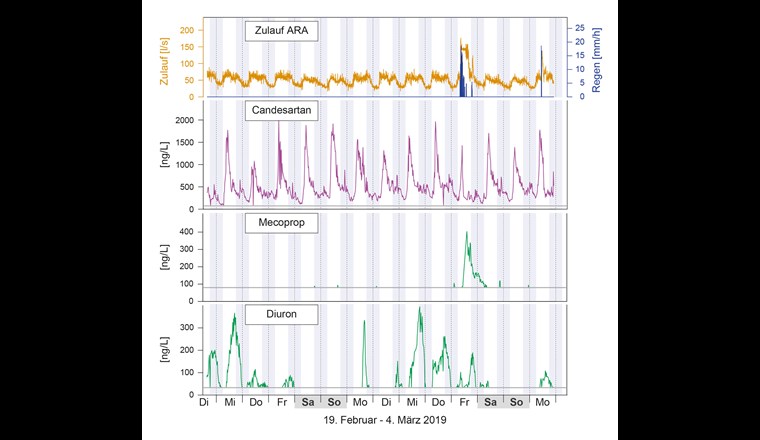 Zulauf und Regen während der Messperiode an der ARA Fehraltorf-Russikon sowie Konzentrationsverlauf von Candesartan, Mecoprop und Diuron mit jeweiliger Bestimmungsgrenze (graue Linie).