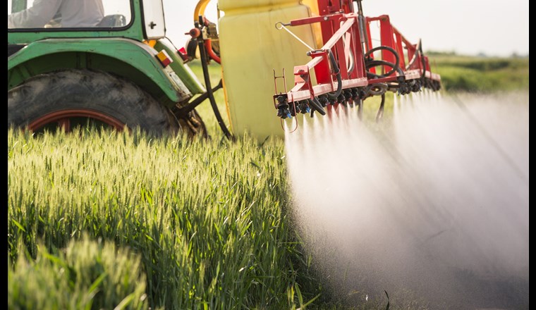 Um 50 Prozent sollen die mit dem Einsatz von Pflanzenschutzmitteln verbundenen Risiken für Flüsse und Seen, naturnahe Lebensräume und als Trinkwasser genutztes Grundwasser bis 2027 reduziert werden. (© Foto: Kostic/123rf.com)