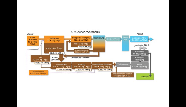 Fig. 4 THg und MMHg in Abwasser (orange und blau) und Klärschlamm (braun) entlang der Behandlungsstufen der ARA Zürich-Werdhölzli. Durch Sorption an Partikel folgt Hg mehrheitlich der festen Phase. Der entwässerte Klärschlamm wird der betriebsinternen Verbrennungsanlage zugeführt. Die THg-Rückhalteeffizienz der ARA Zürich-Werdhölzli beträgt ≥ 99,5% für die Wasseraufbereitung und etwa 95% für die Schlammverbrennung.