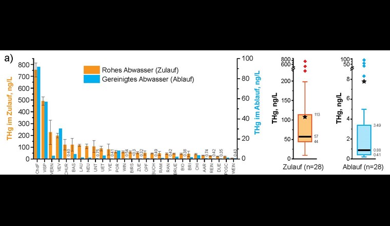 Fig. 3 a) THg-Konzentrationen in Rohabwasser und in gereinigtem Abwasser von 28 Schweizer ARA im Jahr 2017. Die Box-Plots zeigen die Mediane, Mittelwerte (*), Quartile (25%, 75%), Whisker und die Ausreisser.