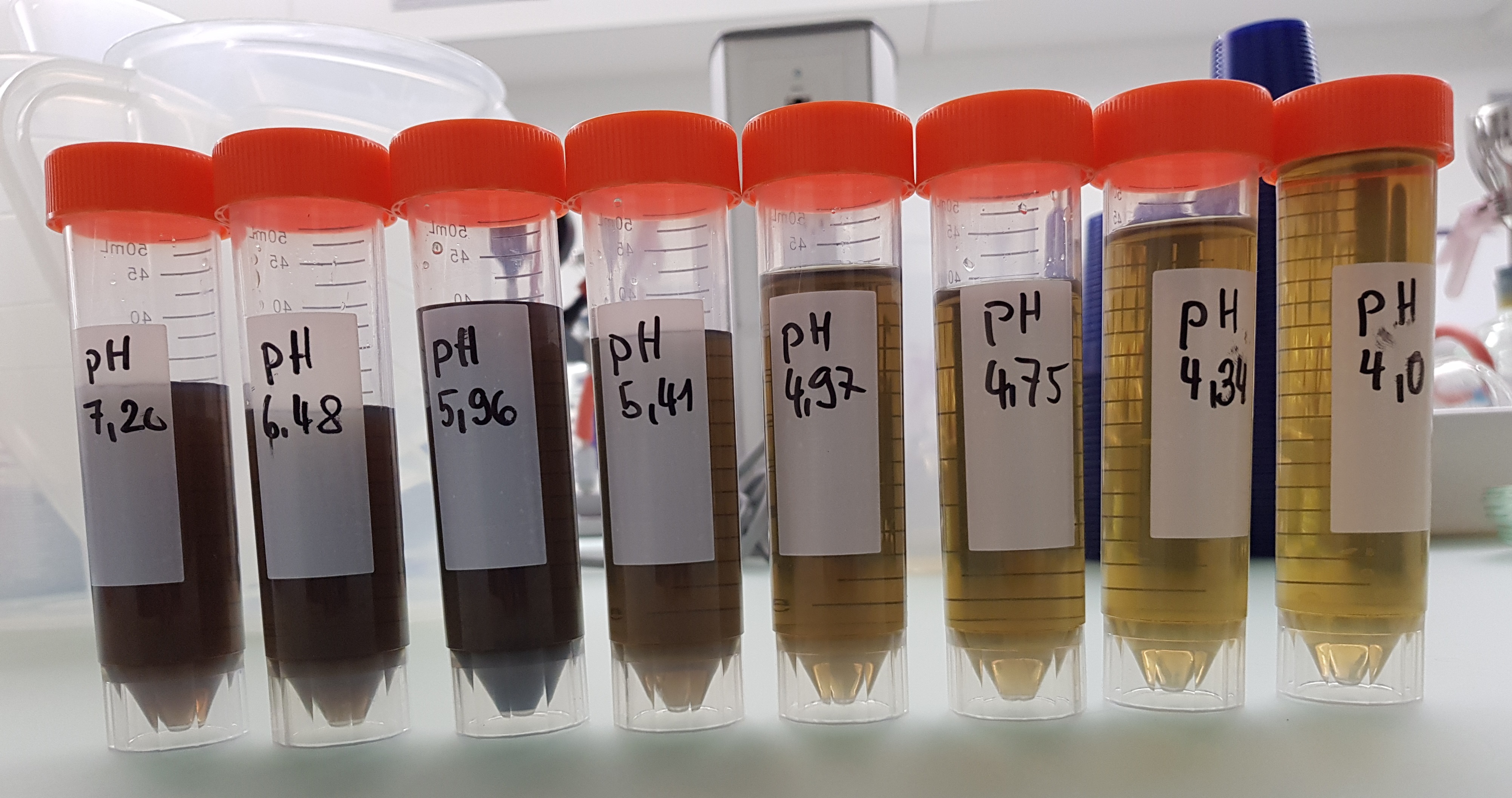 Filtrierter, bei verschiedenen pH-Werten angesäuerter Faulschlamm. (Foto: T. van der Heijden, ara region bern ag)