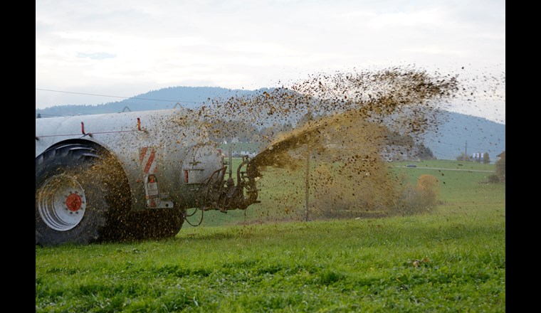 Gülleausbringung auf einer Wiese (© A. Hofer/123RF.com)