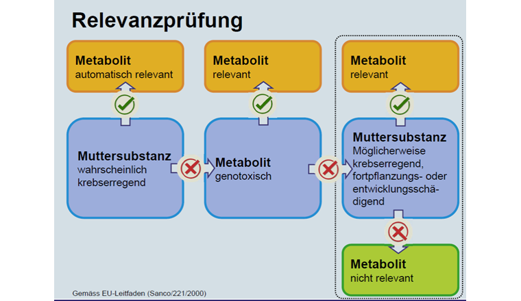 Mark Stauber (BLV) erläuterte in seinem Vortrag zur Regulierung der Pflanzenschutzmittel, in welchen Schritten die Prüfung der Relevanz von Metaboliten abläuft und welche toxikologische Aspekte dabei einfliessen.