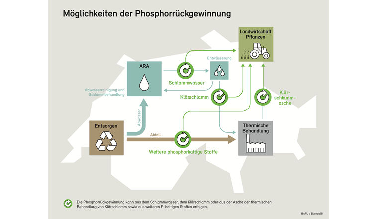 Fig. 1 Möglichkeiten der Phosphorrückgewinnung