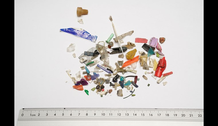 Vom Groben zum Feinen: Sortierung von Makro- und Mikroplastik. (© Breitbarth/FiW)