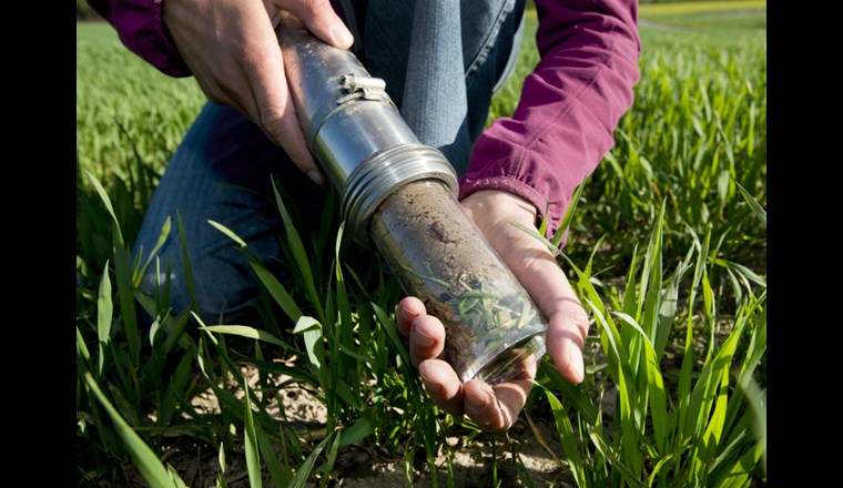 Bodenprobe (©Agroscope/G. Brändle)