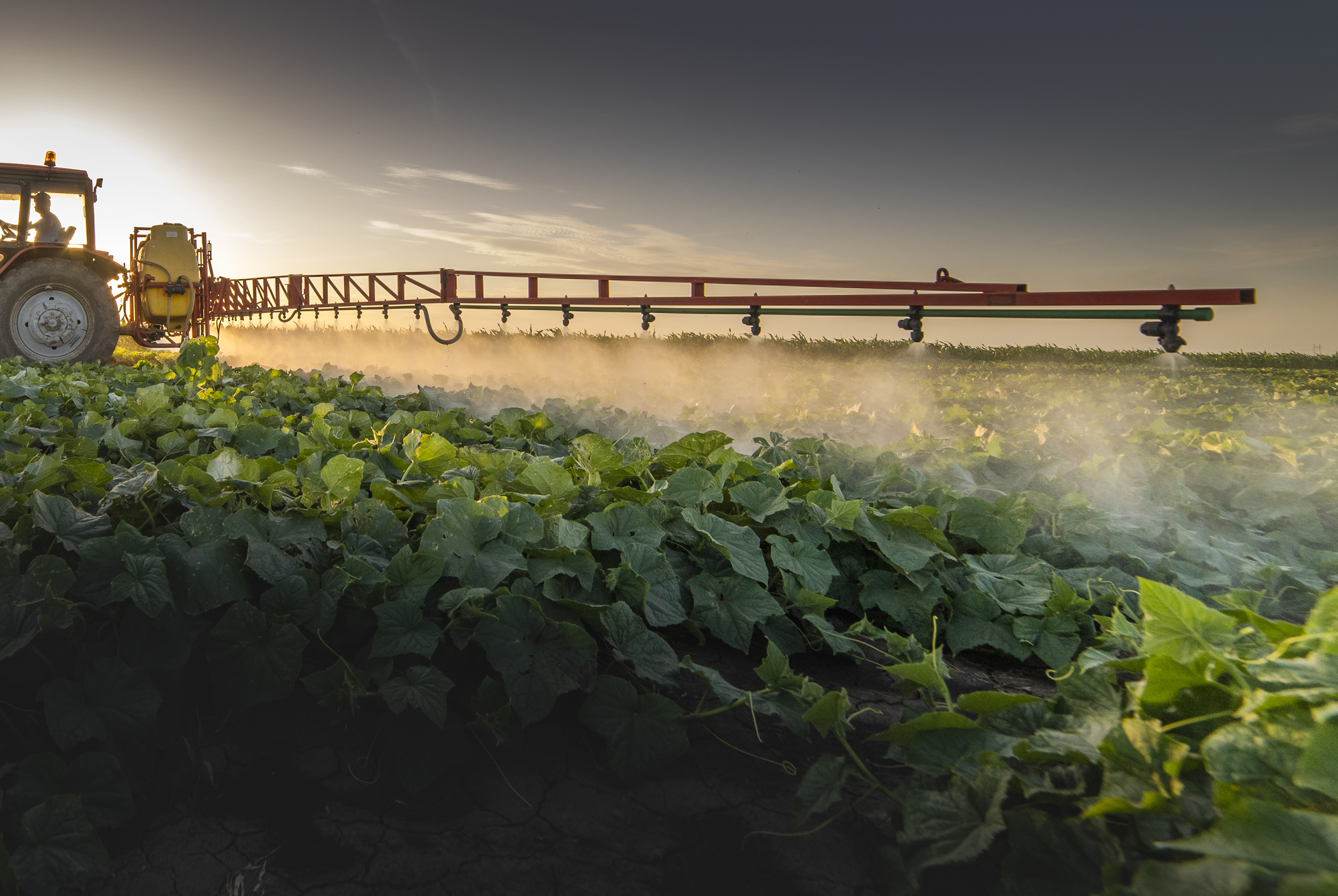 (©K.Dusan/123RF.com)