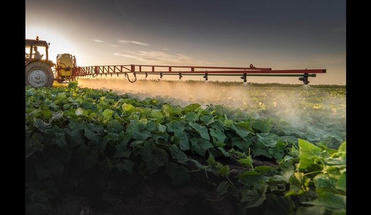 (©K.Dusan/123RF.com)