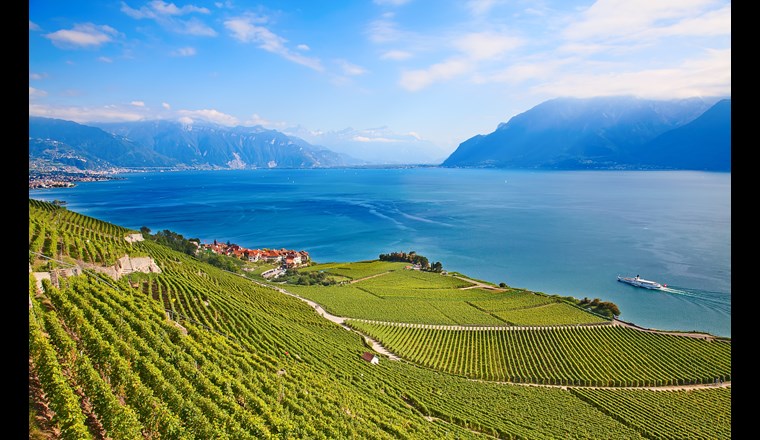 Lavaux/Genfersee (© F. Selivanov/123RF.com)